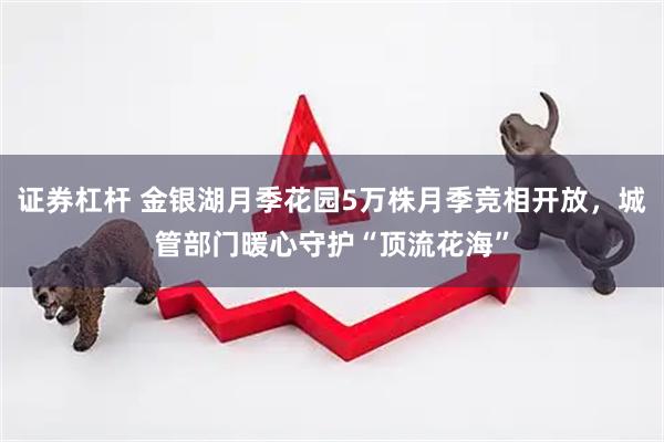 证券杠杆 金银湖月季花园5万株月季竞相开放，城管部门暖心守护“顶流花海”